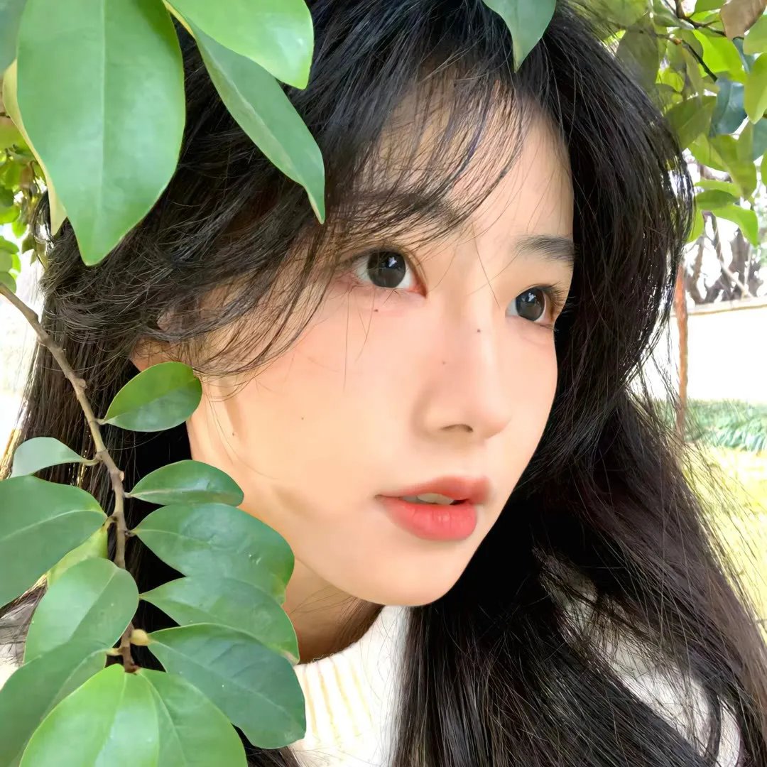 天然的奇观