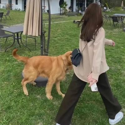 百变的七仓同学